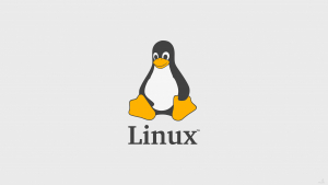Redirecteur USB RDP [pour Linux]